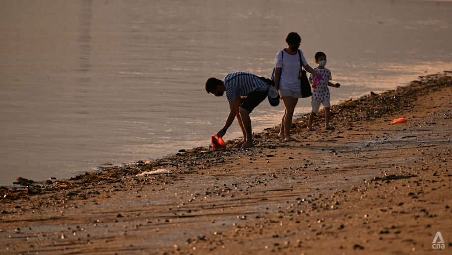 New rulebook on how landowners can defend coast from rising seas launched, to be mandatory from 2028 New rulebook on how landowners can defend coast from rising seas launched, to be mandatory from 2028
