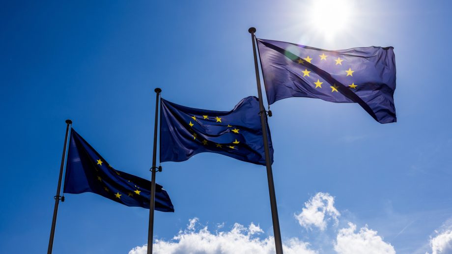 The EU Won’t Pursue A Mandatory Game Preservation Law The EU Won’t Pursue A Mandatory Game Preservation Law