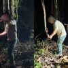 NParks employee among group being investigated over handling of snake during Mandai night walk, Singapore News