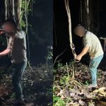 NParks employee among group being investigated over handling of snake during Mandai night walk, Singapore News