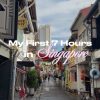 @ashlleyng SINGAPORE DAY 1 (PART 1) VLOG!!  #singapore #travelvlog #singaporefoo…