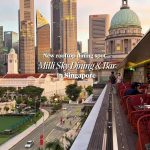 @deeniseglitz This is one of the best fireworks viewing spots in Singapore too. …