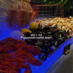 @uyosluvr Peppermint, PARKROYAL COLLECTION Marina Bay @PARKROYALCOLLECTION Marin…