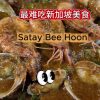 @havendivinetongue 最难吃的新加坡特色美食！沙爹米粉！谁认同？！#新加坡美食 #探店 #foodie #sgfoodie #satay  …