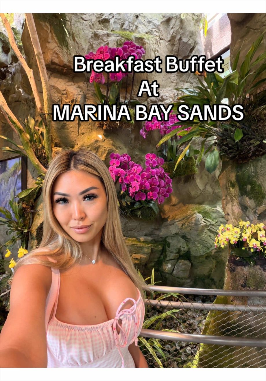 @rachelcaridee The Most MAGICAL & DELICIOUS breakfast buffet in the world. Ris… @rachelcaridee The Most MAGICAL & DELICIOUS breakfast buffet in the world. Ris…