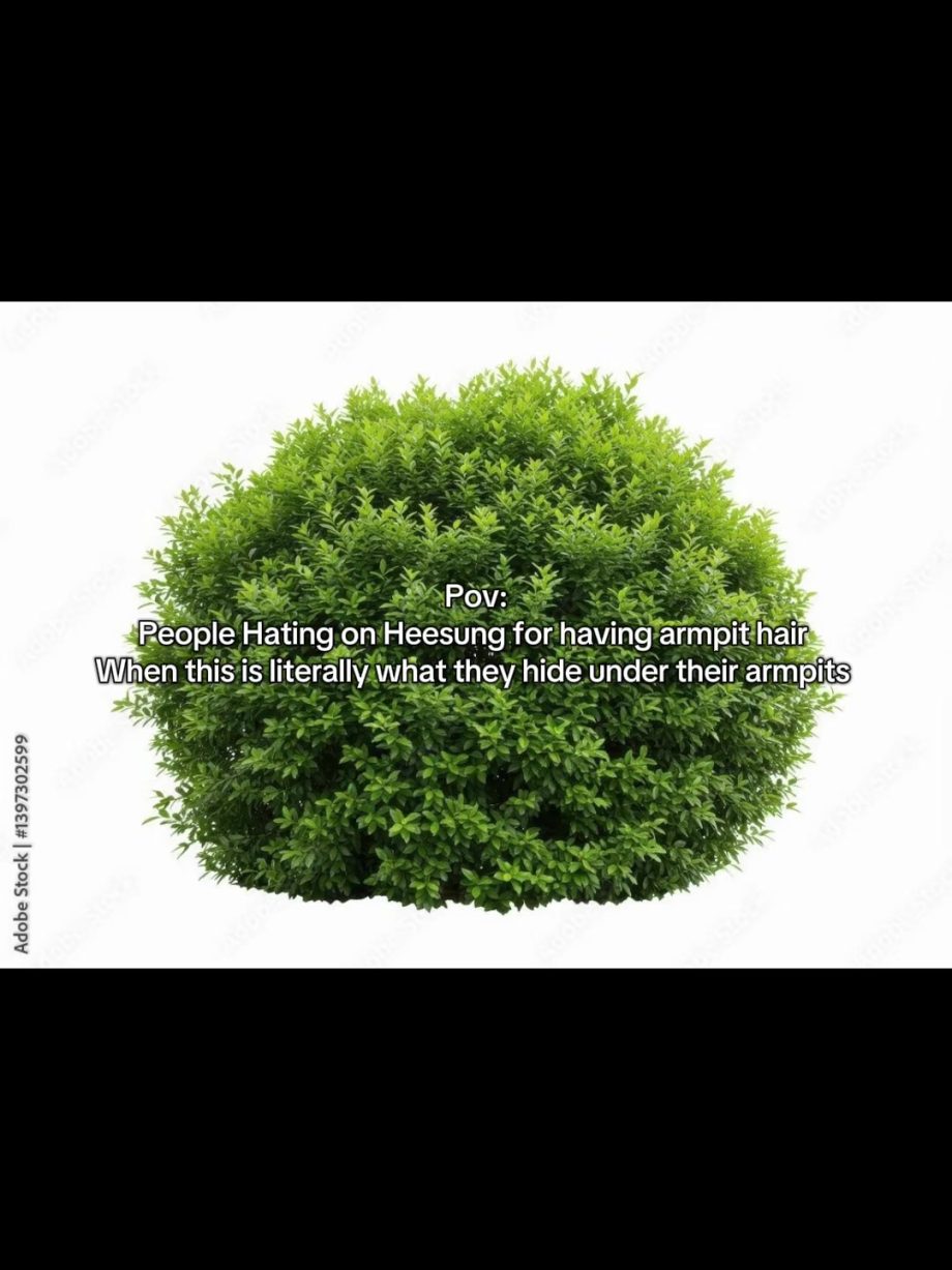 People On TikTok