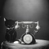 Schrödinger’s Call is one of 2026’s highest-rated games: here’s why