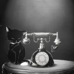 Schrödinger’s Call is one of 2026’s highest-rated games: here’s why