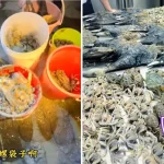 Gan hai phenomenon: Digging for seafood in Singapore