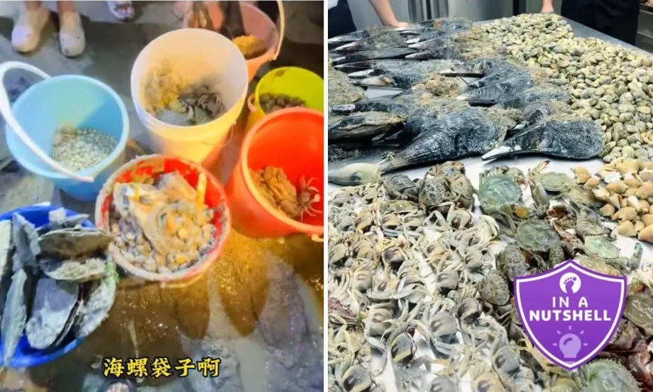 Gan hai phenomenon: Digging for seafood in Singapore