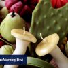 These beeswax candles shaped like fruit and vegetables look good enough to eat
