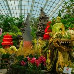 7,000 Orchids and Indonesian Heritage at Flower Dome