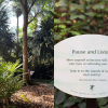 Asia’s first certified forest therapy trail just opened in Singapore Botanic Gardens