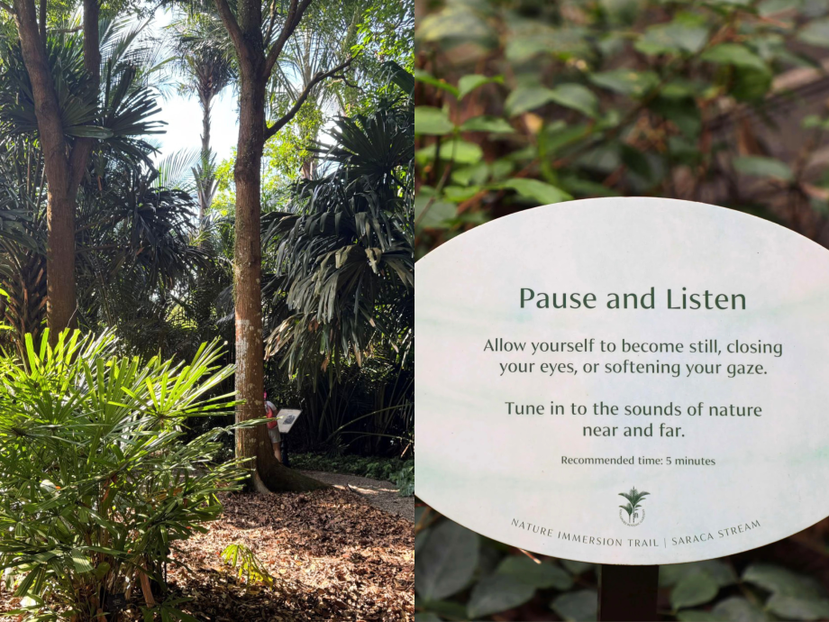 Asia’s first certified forest therapy trail just opened in Singapore Botanic Gardens Asia’s first certified forest therapy trail just opened in Singapore Botanic Gardens