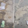 Bedok HDB litter disgusts residents