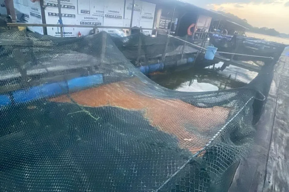 Oil spill near Pulau Ubin affects fish farms Oil spill near Pulau Ubin affects fish farms