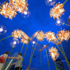 People visit 10th Singapore Garden Festival in Singapore-Xinhua