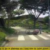Driver stops to help after cyclist, motorcyclist allegedly collide in Ang Mo Kio: ‘Your actions could save a life’, Singapore News