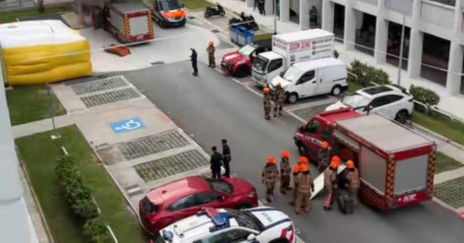 Woman, 49, apprehended after 2-hour standoff with police in Bukit Panjang HDB flat, Singapore News Woman, 49, apprehended after 2-hour standoff with police in Bukit Panjang HDB flat, Singapore News