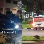 Police searching for 44-year-old driver involved in hit-and-run in Punggol