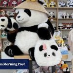 Inside the black-and-white panda-monium in Chengdu, China’s panda capital