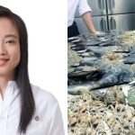 ‘Deplorable’: Pasir Ris-Changi MP Valerie Lee slams mass foraging of marine life at Changi Beach, Singapore News
