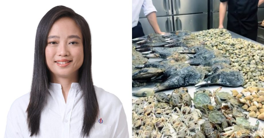 ‘Deplorable’: Pasir Ris-Changi MP Valerie Lee slams mass foraging of marine life at Changi Beach, Singapore News ‘Deplorable’: Pasir Ris-Changi MP Valerie Lee slams mass foraging of marine life at Changi Beach, Singapore News