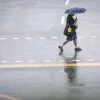 Short, thundery showers expected in second half of July; days to remain warm