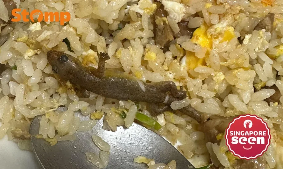 Lizard found in Wok Hey fried rice Lizard found in Wok Hey fried rice