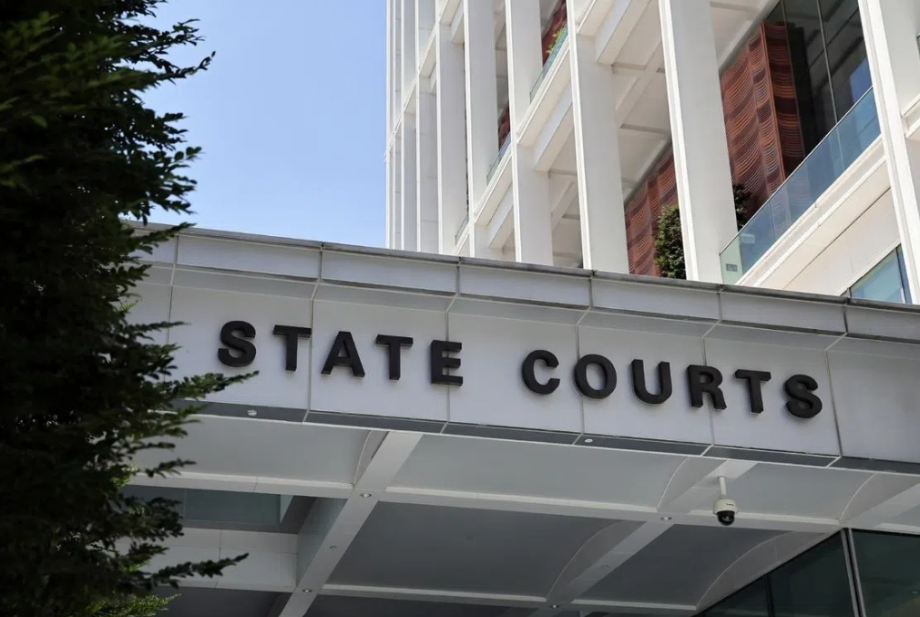 Singapore woman allegedly shared obscene images of young boys; took videos of girl, six, in bathroom Singapore woman allegedly shared obscene images of young boys; took videos of girl, six, in bathroom