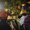1 dead, 7 hospitalised after tree falls near Singapore embassy in Kuala Lumpur