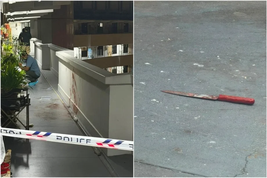 Lengkok Bahru fight: Man charged with murder of neighbour Lengkok Bahru fight: Man charged with murder of neighbour