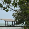 70-year-old man dies after falling into waters off Pulau Ubin; no foul play suspected