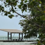 70-year-old man dies after falling into waters off Pulau Ubin; no foul play suspected