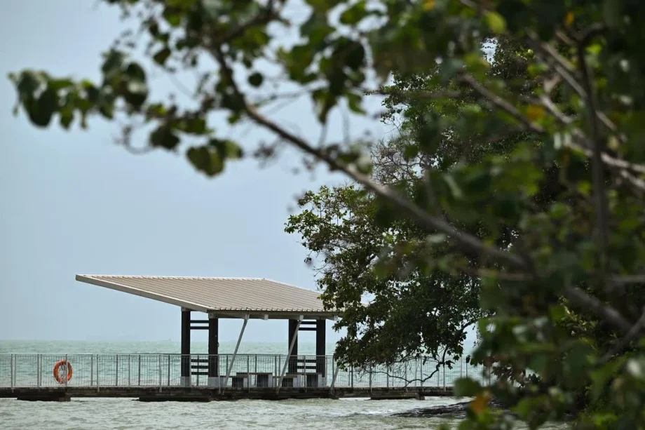 70-year-old man dies after falling into waters off Pulau Ubin; no foul play suspected 70-year-old man dies after falling into waters off Pulau Ubin; no foul play suspected