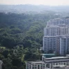 Parts of Maju Forest to make way for public housing estate