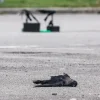 Over 500 crows culled since March: NParks