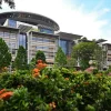 High Court dismisses bankrupt’s bid to remove trustee