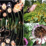 Singapore Garden Festival: Attractions & Dates