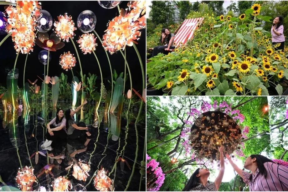 Singapore Garden Festival: Attractions & Dates