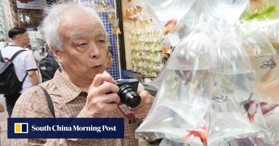 We join Japanese artist Shigeo Otake on his first real Hong Kong visit. It is different