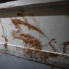 Lengkok Bahru fight: Man to be charged with murder