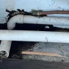 Freesia Woods condo management ordered to compensate couple over termite infestation