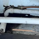 Freesia Woods condo management ordered to compensate couple over termite infestation