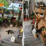 Bukit Ho Swee staircase clutter remains despite complaints