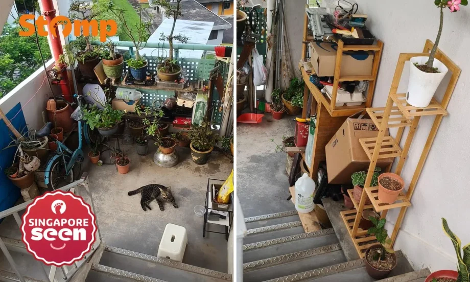 Bukit Ho Swee staircase clutter remains despite complaints Bukit Ho Swee staircase clutter remains despite complaints