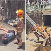 Woman falls into drain, rider shields her