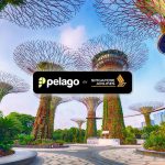Singapore Airlines adds Pelago discount to KrisFlyer Milestone Rewards