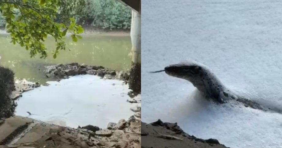 Foamy water in Pasir Ris raises pollution fears; NEA investigating, Singapore News Foamy water in Pasir Ris raises pollution fears; NEA investigating, Singapore News