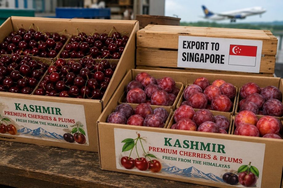 J&K Marks Maiden Export of Premium Cherries, Plums to Singapore
